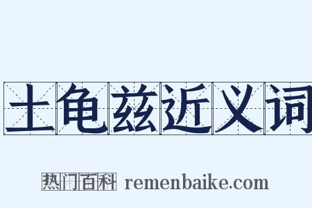 土龟兹近义词是什么意思的图片